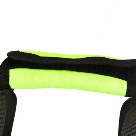 Sac transport chat - Capsule rigide avec hublot panoramique