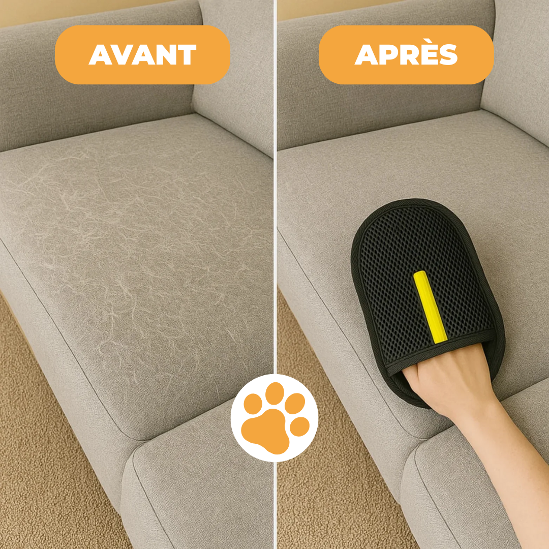 Gant Anti-Poils Chiens et Chats - Réutilisable & Écologique