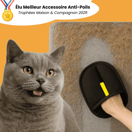 Gant Anti-Poils Chiens et Chats - Réutilisable & Écologique