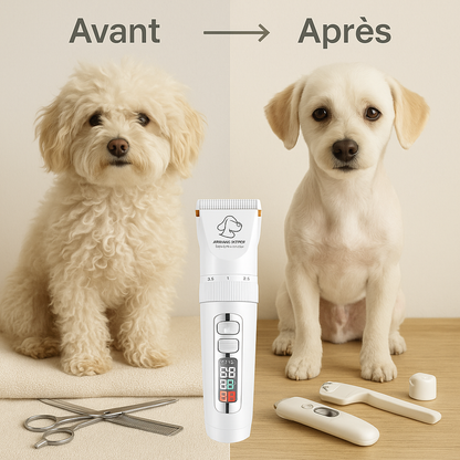 Tondeuse Chien Silencieuse – Idéale pour Toilettage à Domicile