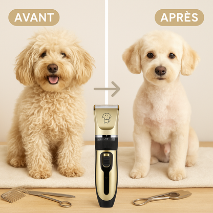 Tondeuse Chien Poil Long – Lames Puissantes et Silencieuses
